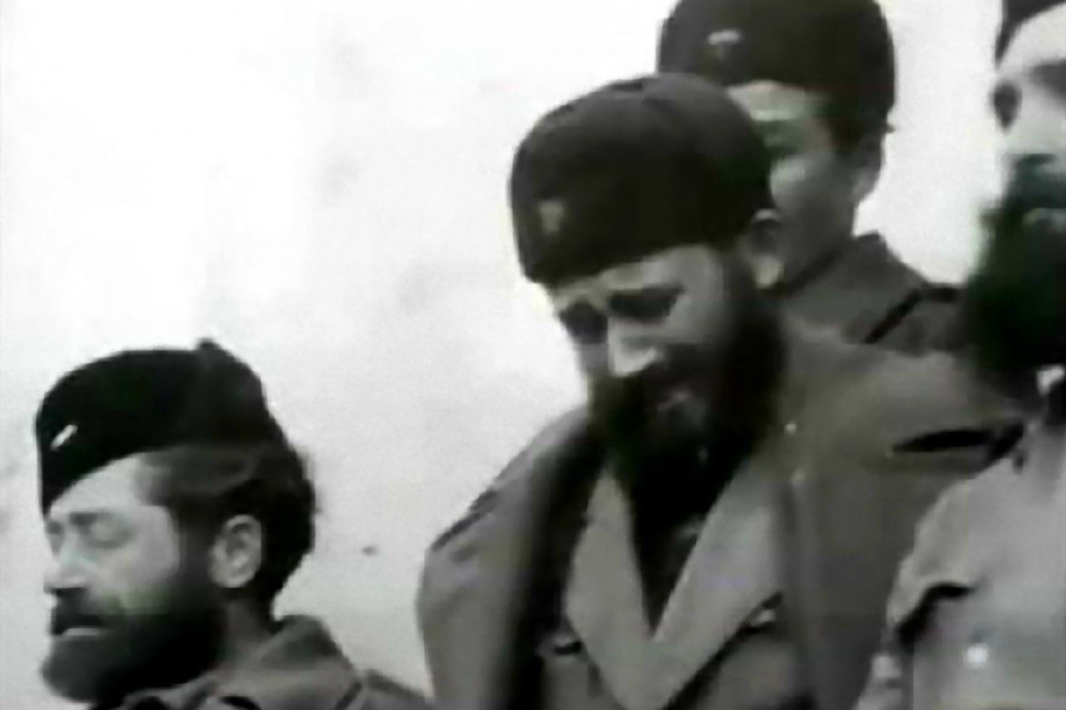 γράσσο tweet media