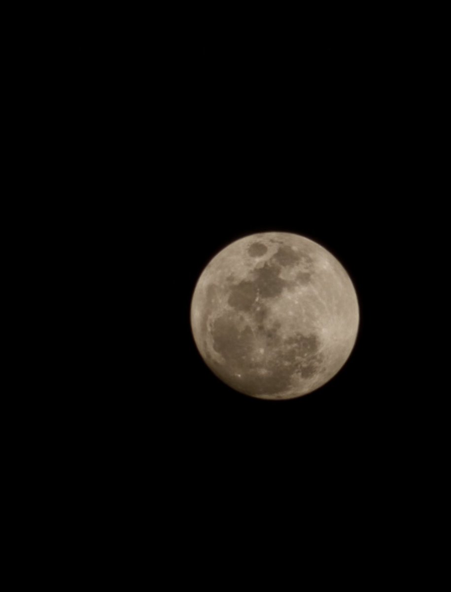 𝐕𝐈𝐃𝐘𝐀🇮🇳🚩 tweet media