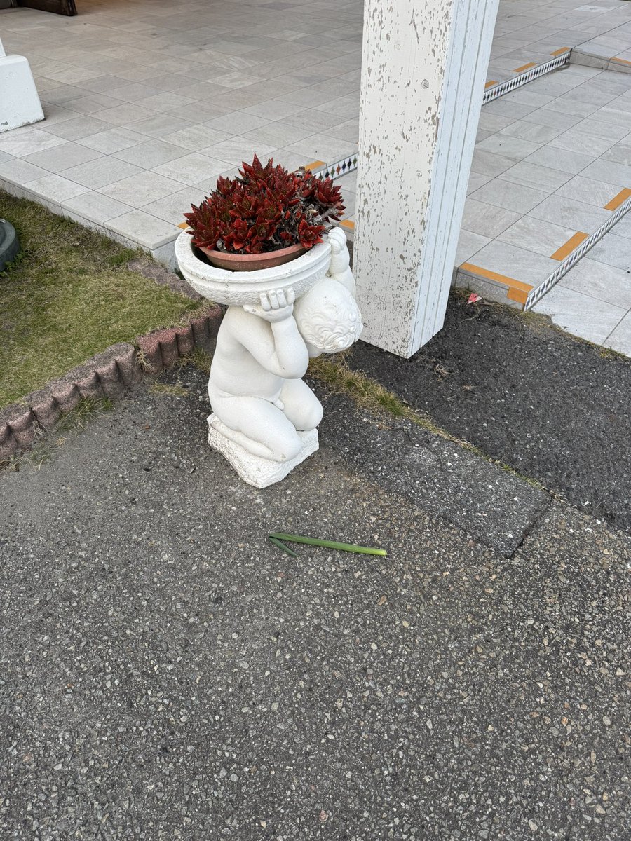 藤田玲（DUSTZ　Ray） tweet media