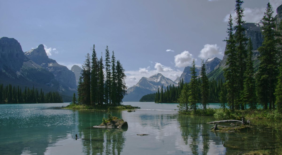 HetkanWEL tweet media