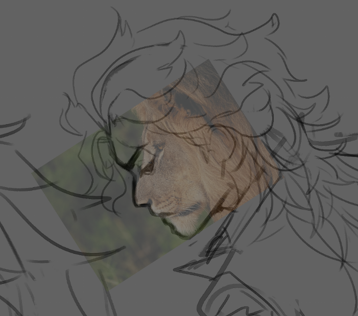 narvi💫 tweet media