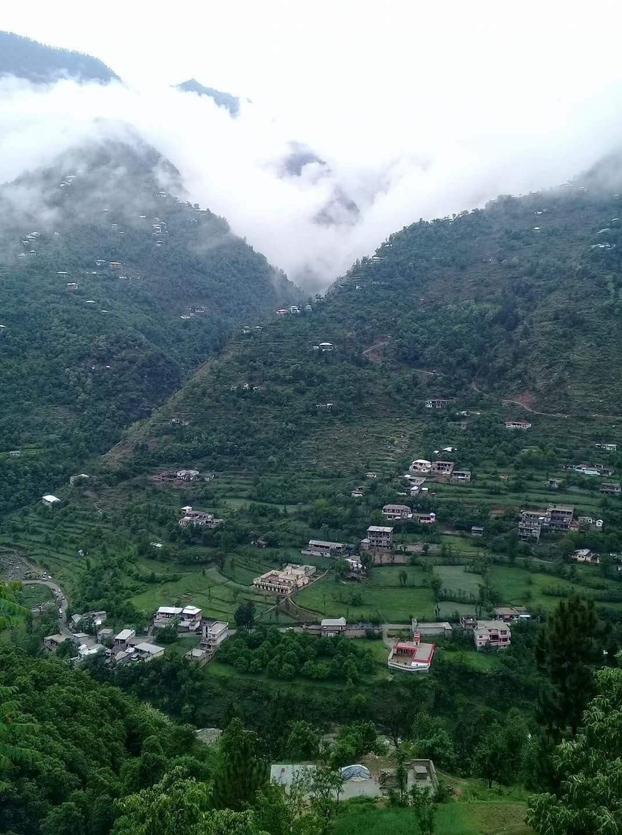 احمد / النخبوي 💚💚 tweet media