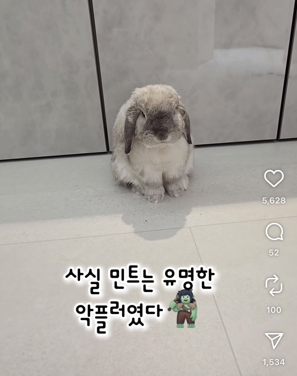 지구슈슈 tweet media