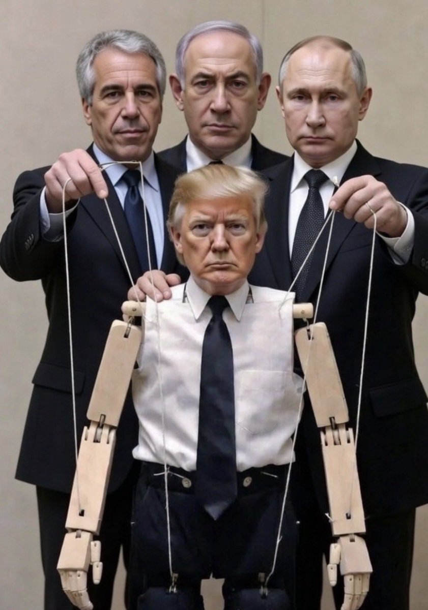 DanC ₿ tweet media