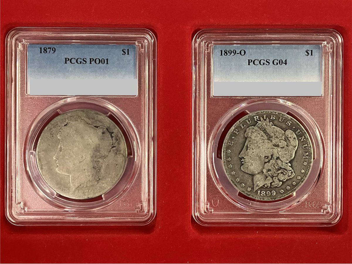 キングビンボー tweet media