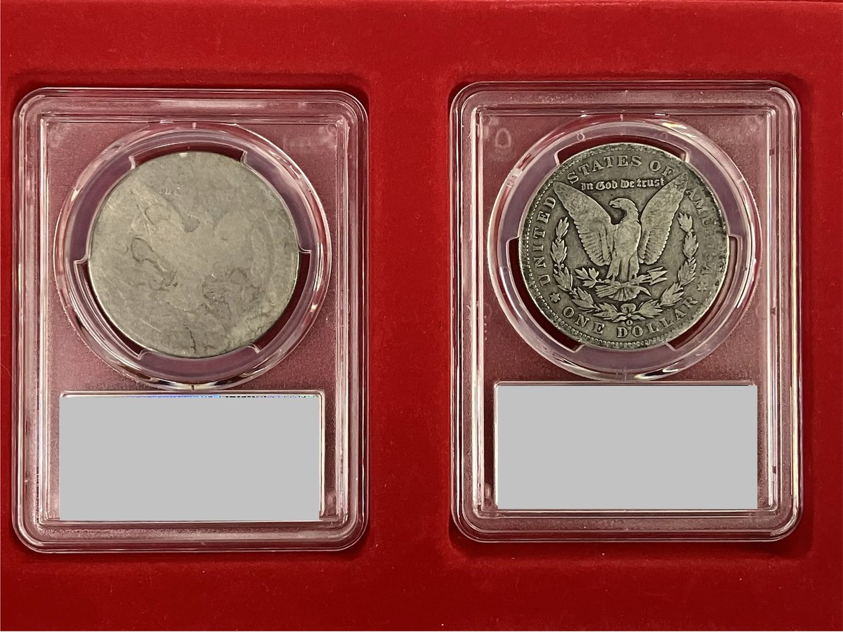 キングビンボー tweet media