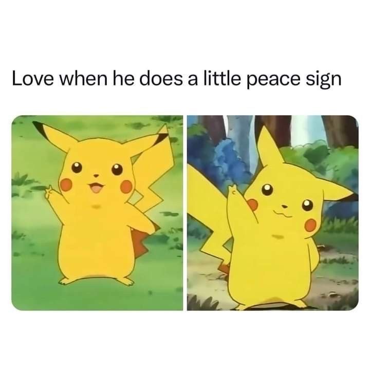 Pokémon Aesthetics tweet media