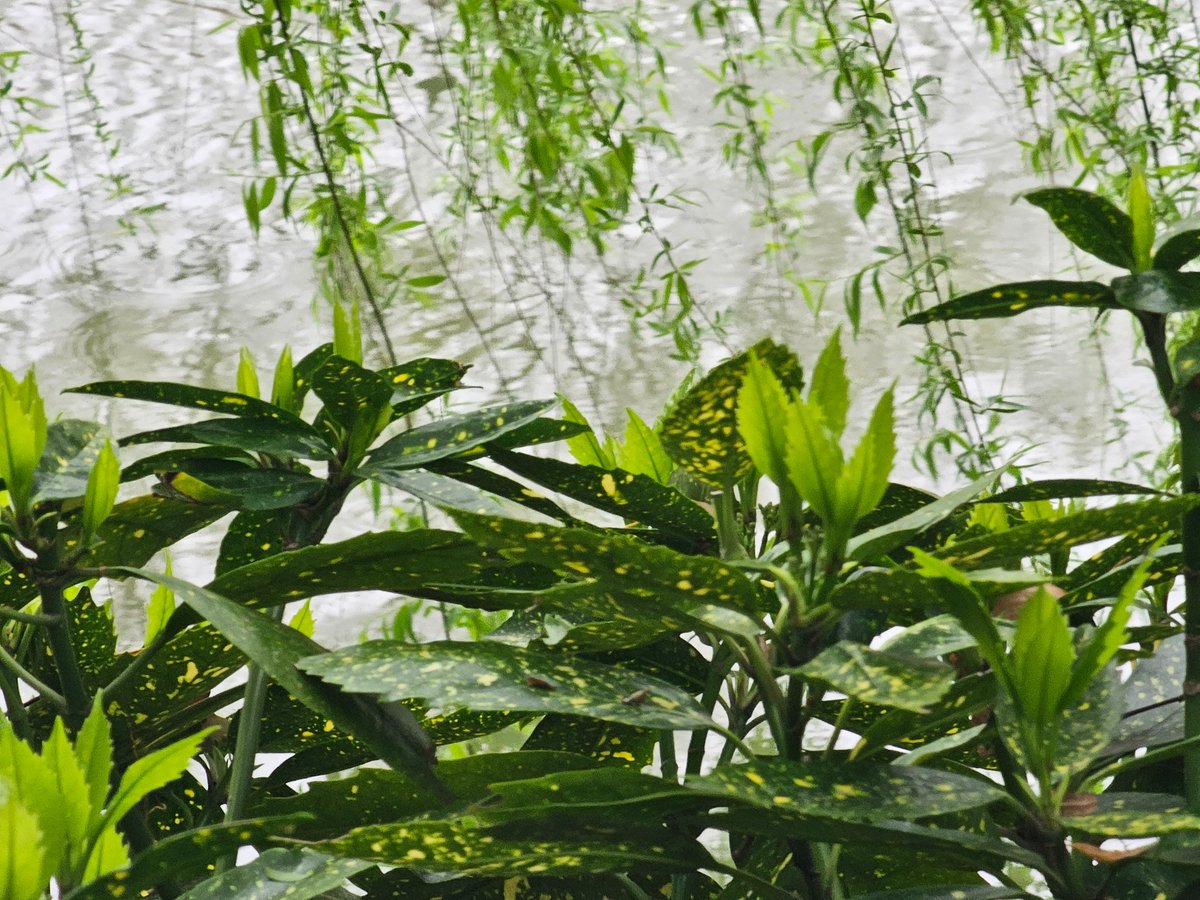 Jaden思考日志 tweet media