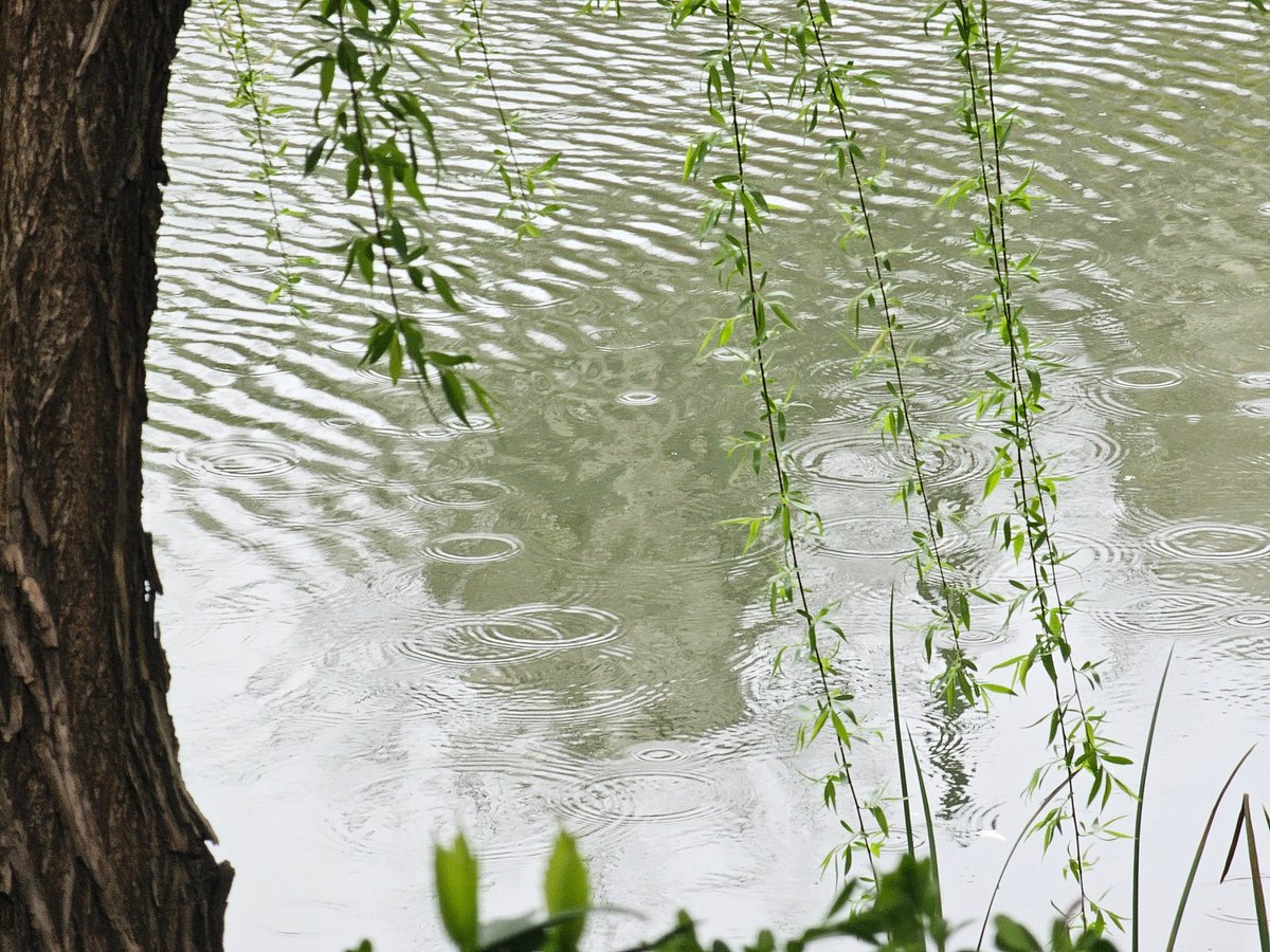 Jaden思考日志 tweet media