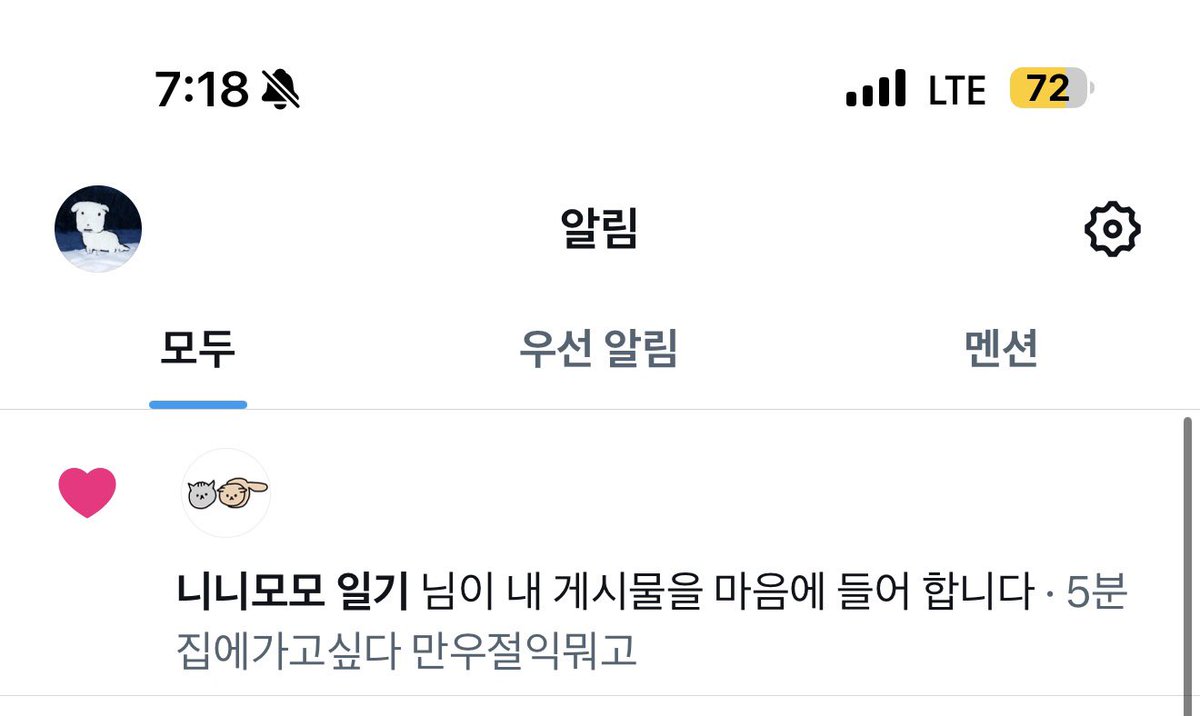 삼식카와!! tweet media