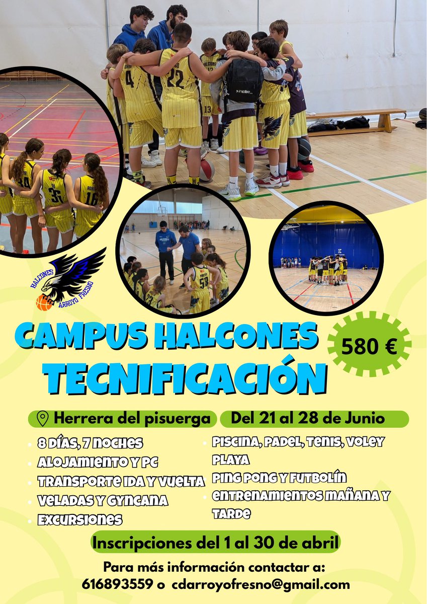 Baloncesto Halcones tweet media