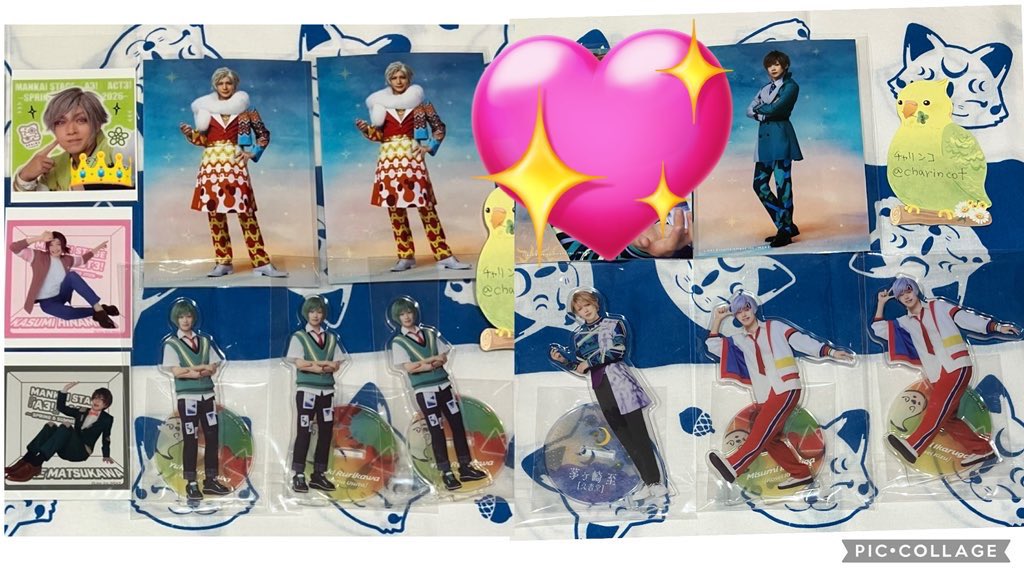 ﾁｬﾘﾝｺ🐩早寝/ﾌﾟﾛﾌ🔗あり tweet media