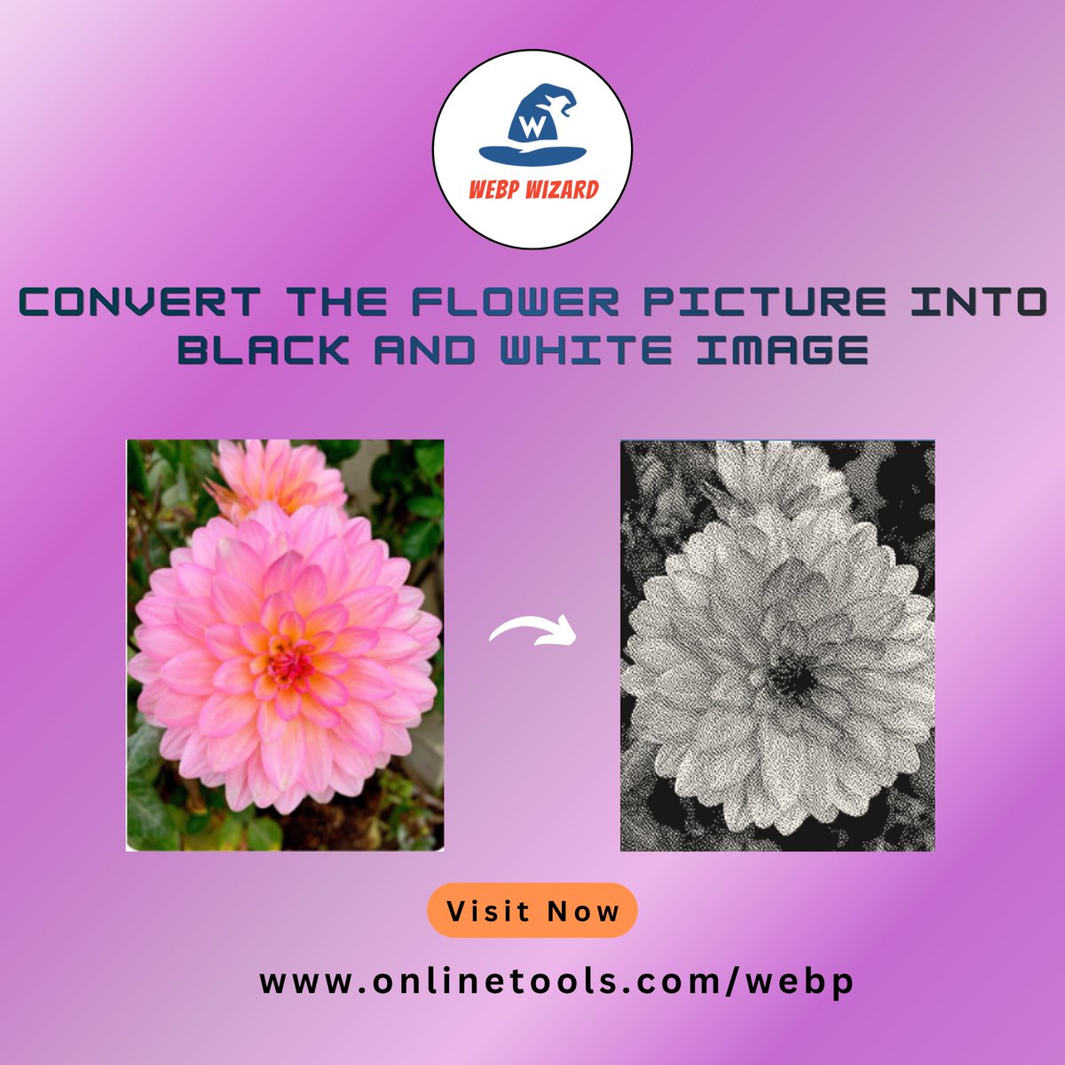 Give your images a bold black &amp; white makeover! 🖤
Try our tool: onlinetools.com/webp/create-bl…
#Browserling #WebPTools #WebPCompression #ImageProcessing #HMPV #AneetPadda #USDX #RHOA #Nifty #AEWDynamite #GIFTNIFTY #BB27 #Tech #seth
