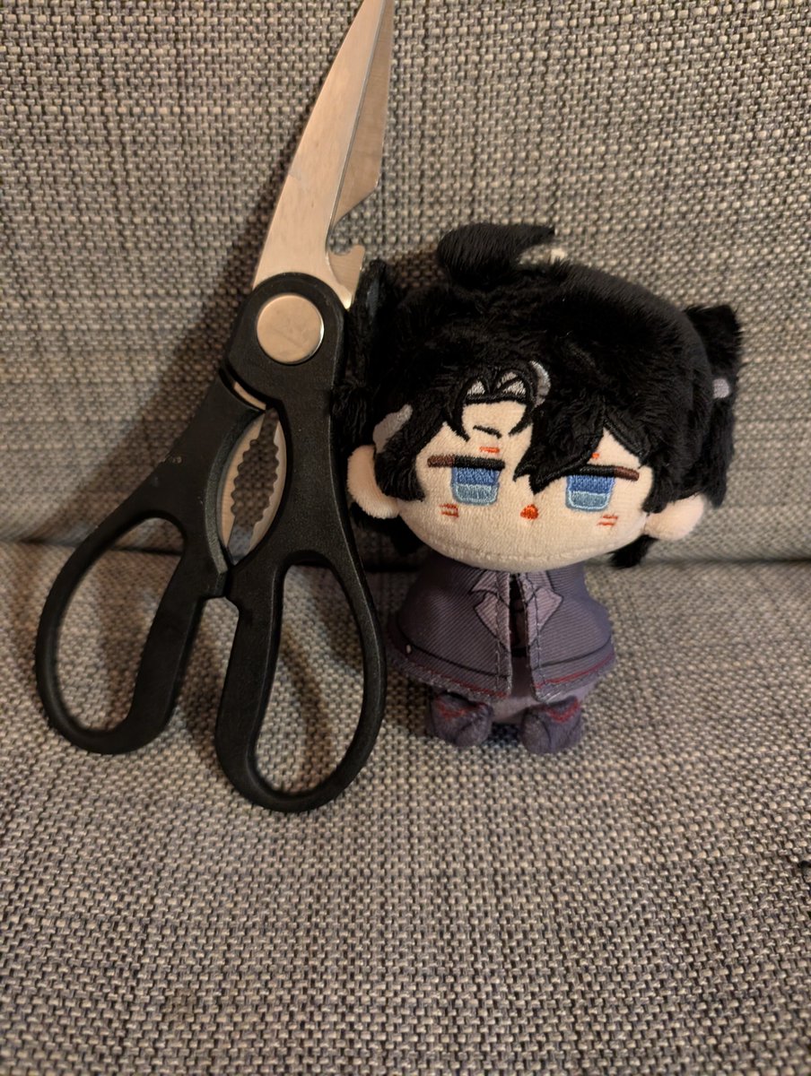 daily lil wrio plush 🦈 tweet media