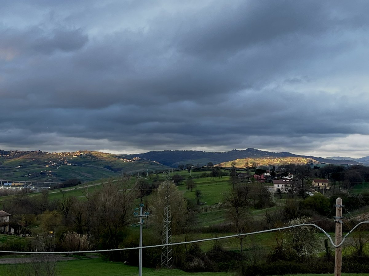 sassi🌟 tweet media