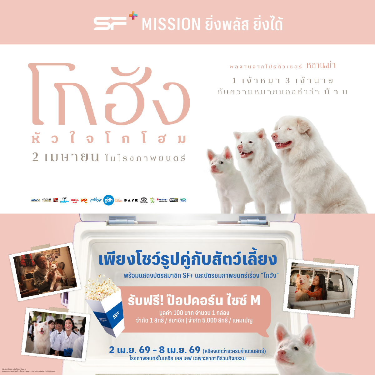 SF Cinema tweet media