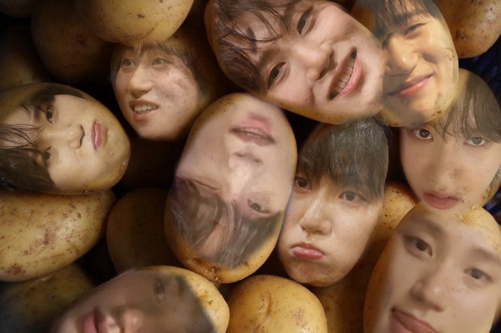 카츄핑. tweet media