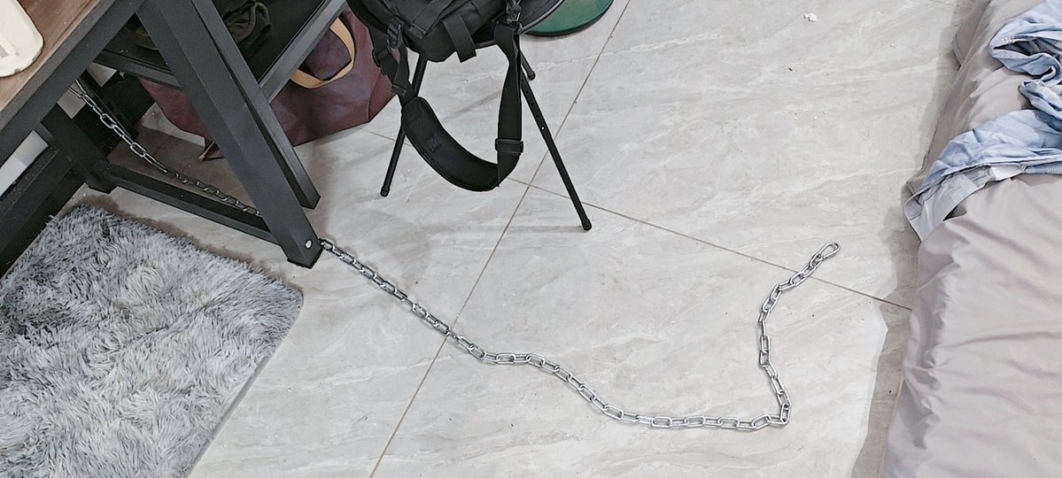 夏普斯 tweet media