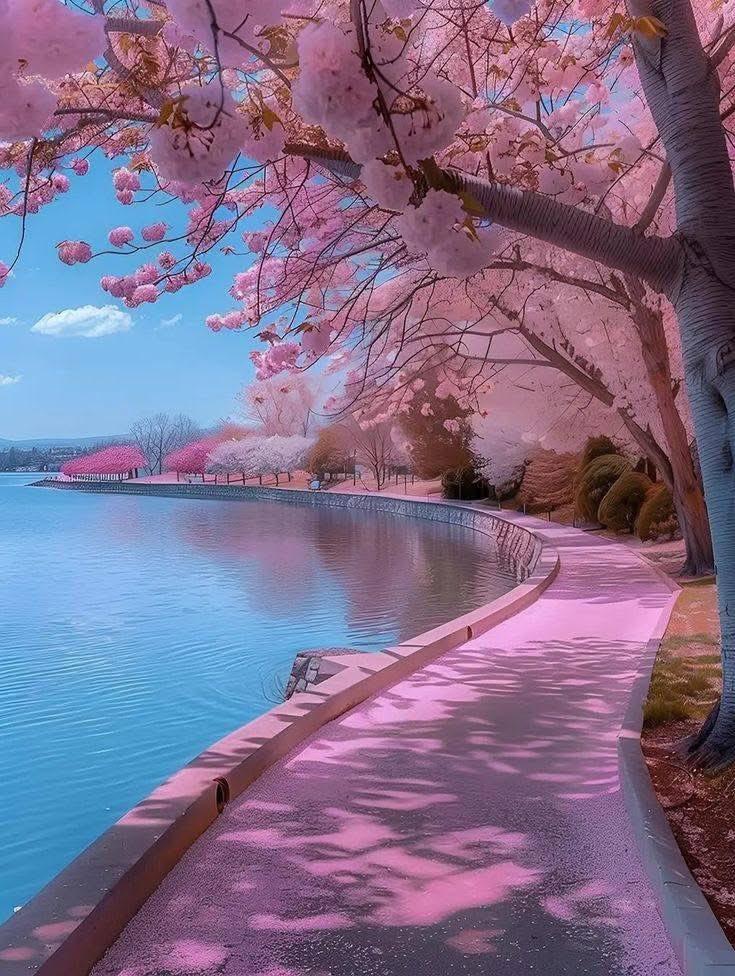 🔆 V 🔛 LOVE 🔆 tweet media