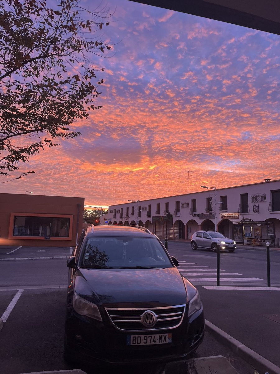 switchos tweet media