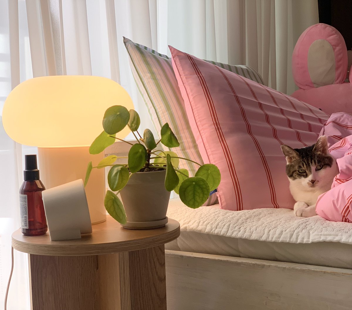 𝑖𝑛𝑔 tweet media