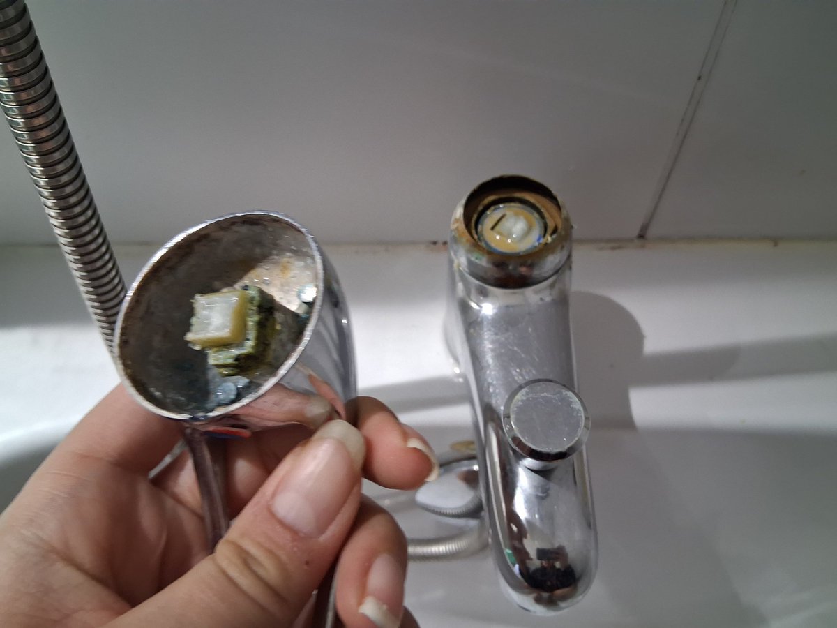 Frangipanus 2000: Tokyo Drift tweet media