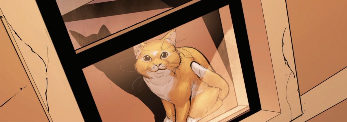 Jack Fisher tweet media