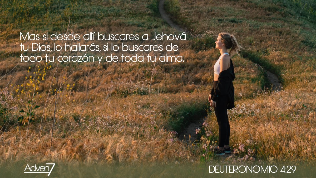 Dios siempre está dispuesto a dejarse encontrar por quien le busca de todo corazón.
Cuando la búsqueda es sincera, el encuentro con Él transforma y llena la vida de paz.

#PalabraDeDios