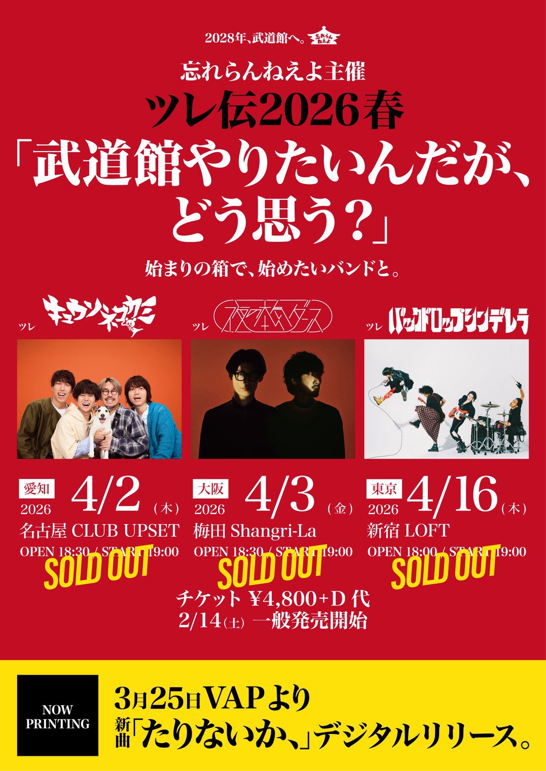 キュウソネコカミ CD3枚セット 青盤 赤盤 ライブ盤 キュウソネコカミ