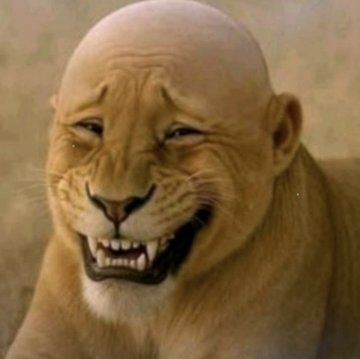 Useless Fighters tweet media