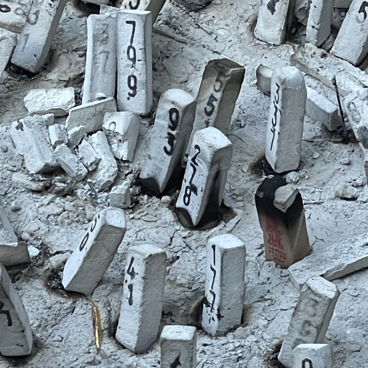 หมีหนวด tweet media