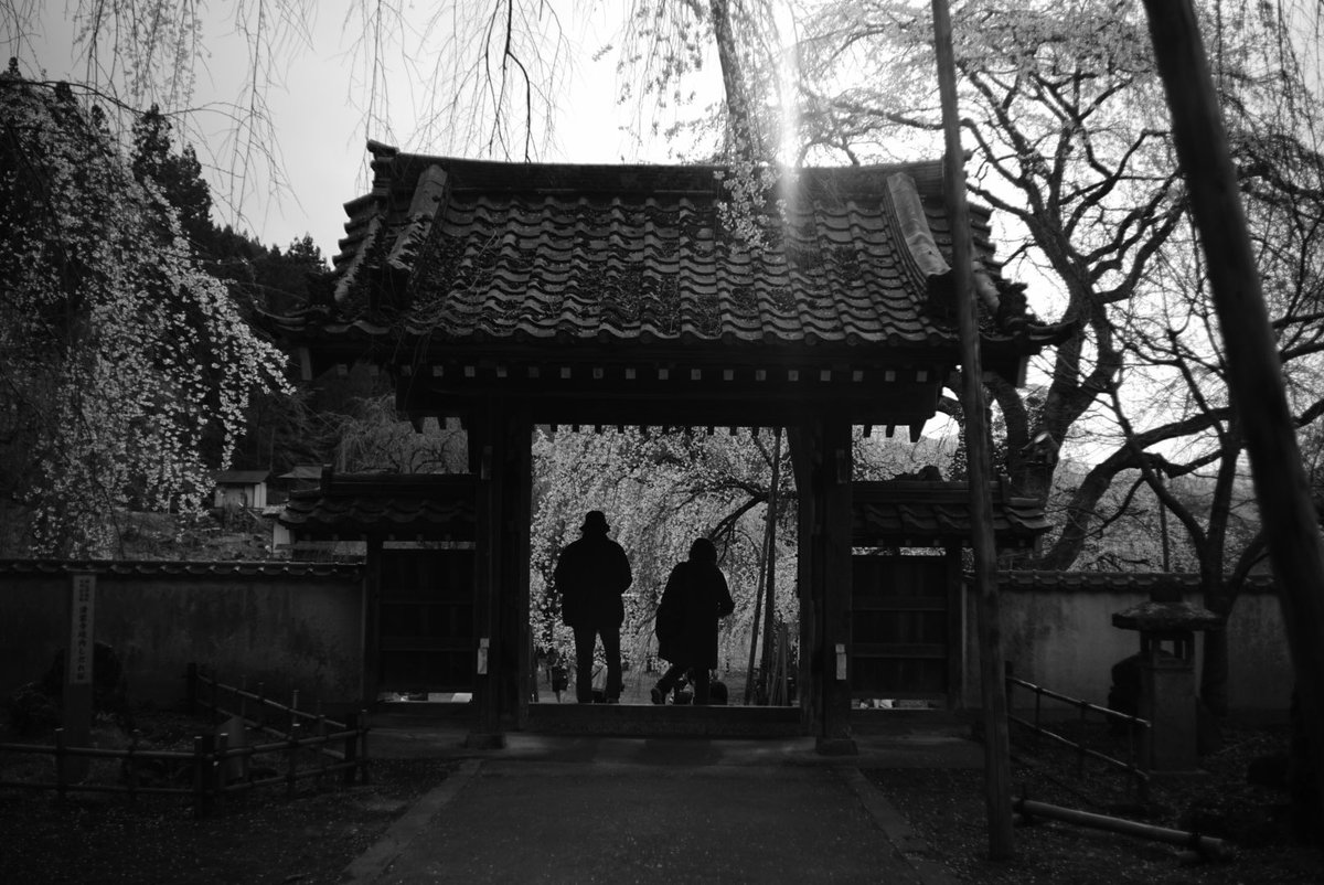 EXS(エクス) tweet media