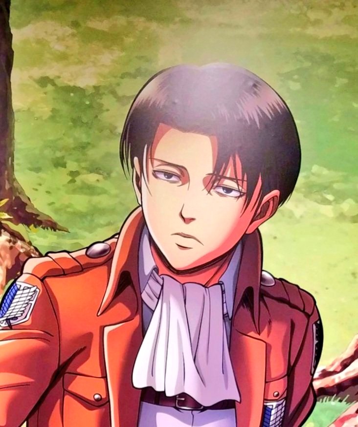 武蔵虎次郎🐯 tweet media