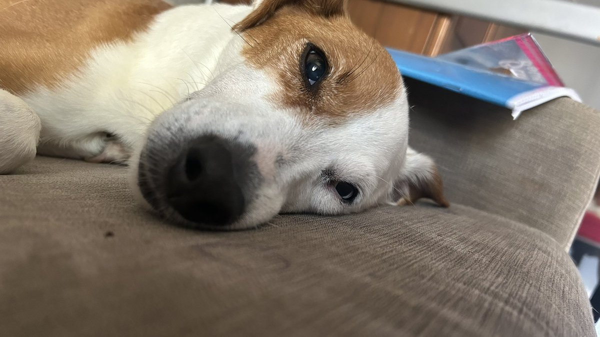 gaia🍸 tweet media