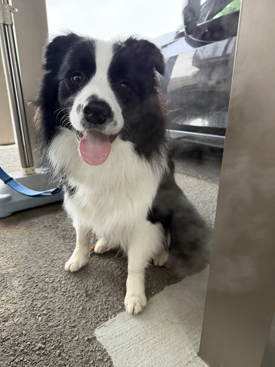 がっちゃん tweet media