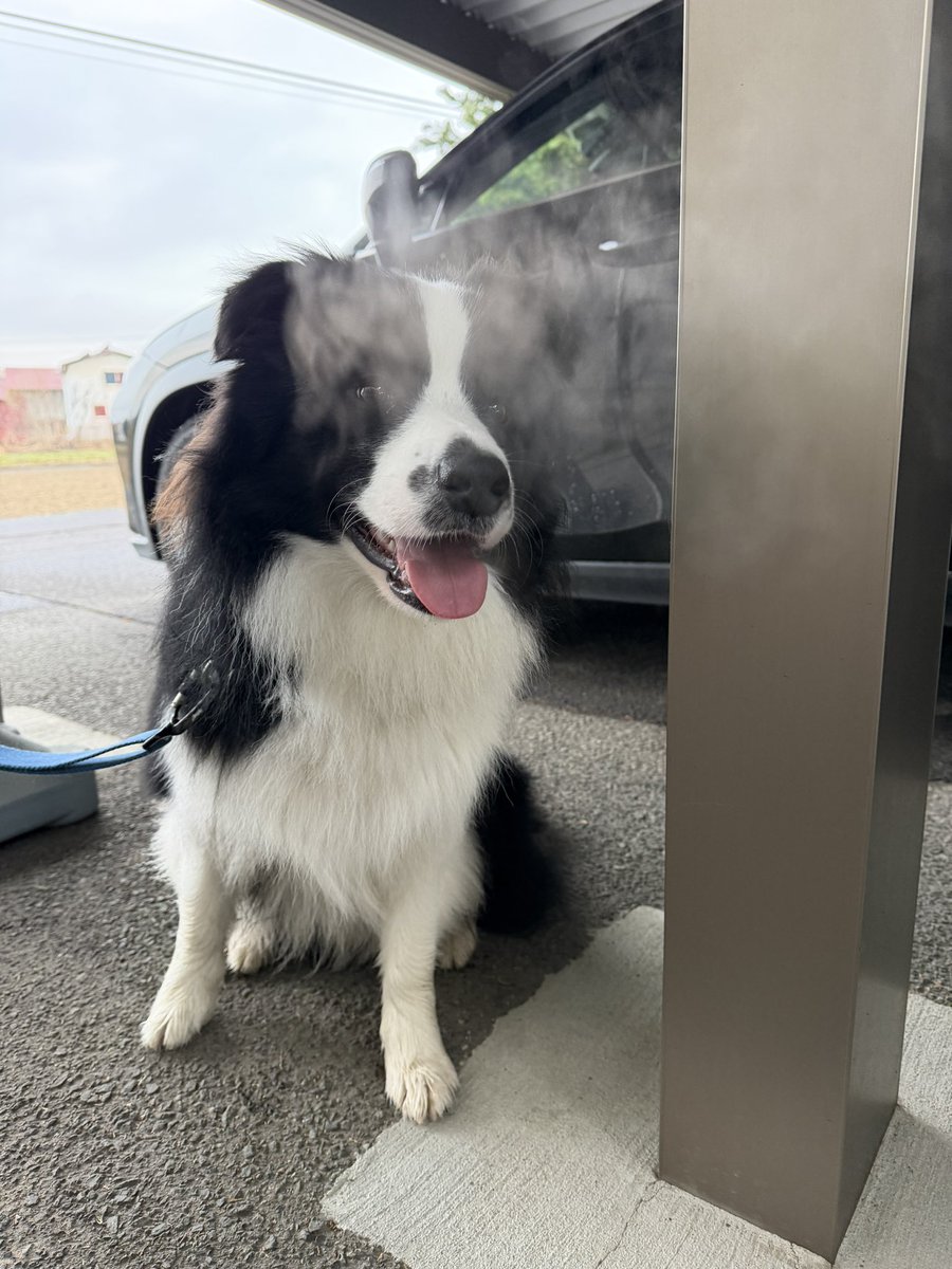 がっちゃん tweet media