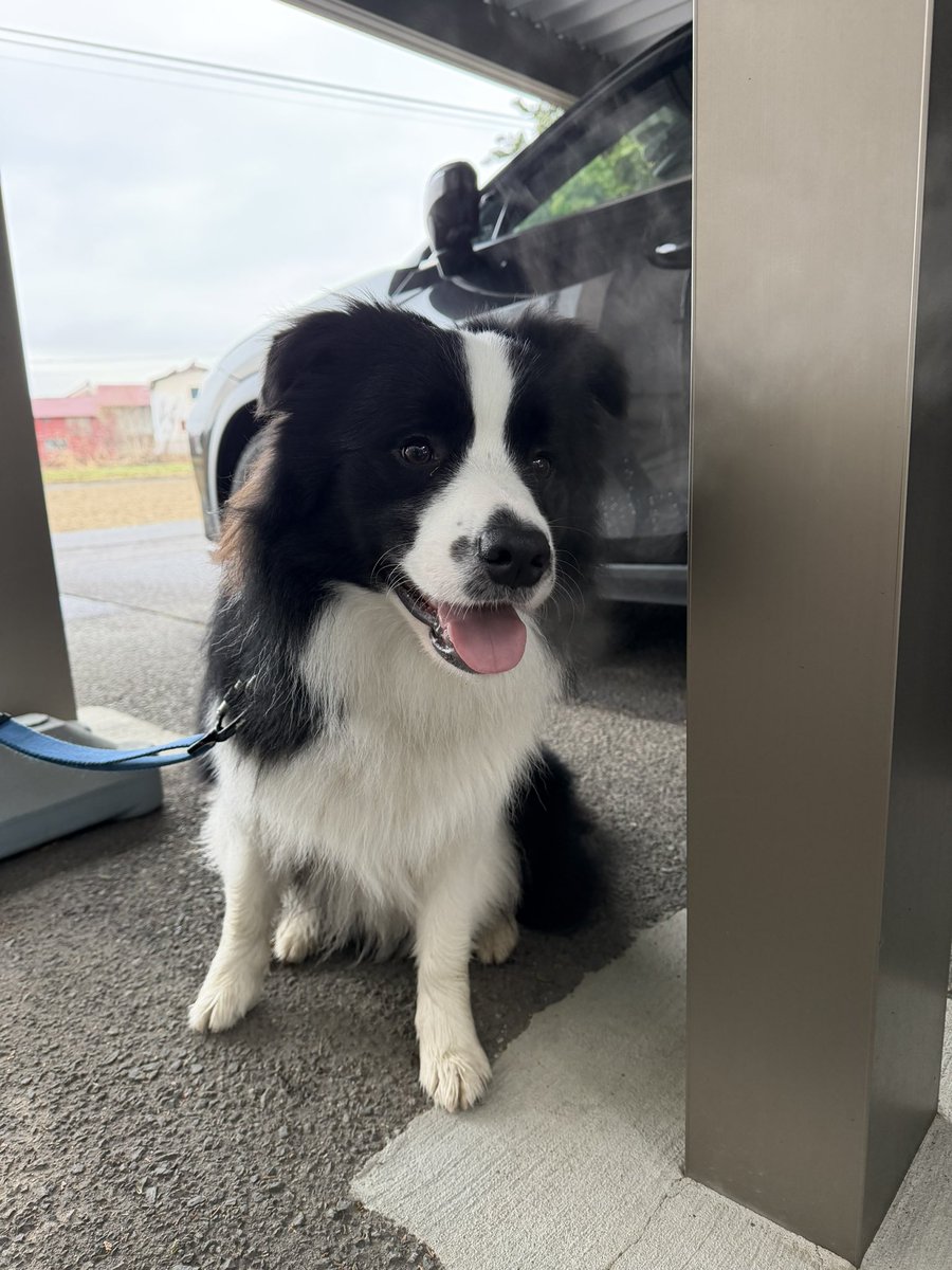 がっちゃん tweet media