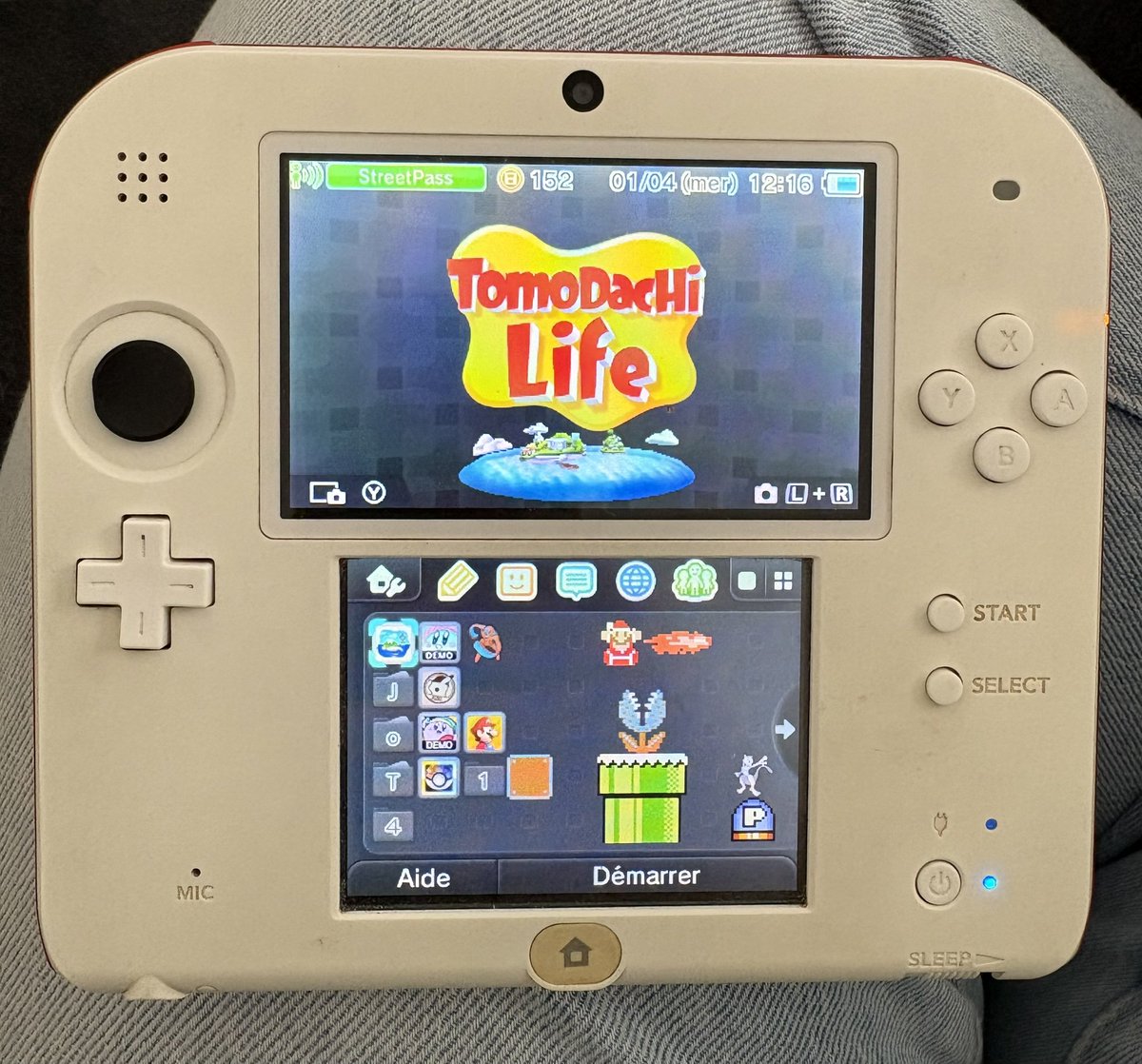 lae ‎‹𝟹 🌸 🐾 tweet media