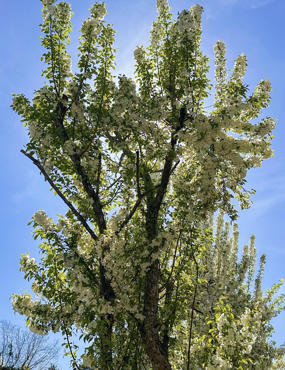 joann ☘️🇺🇸 tweet media