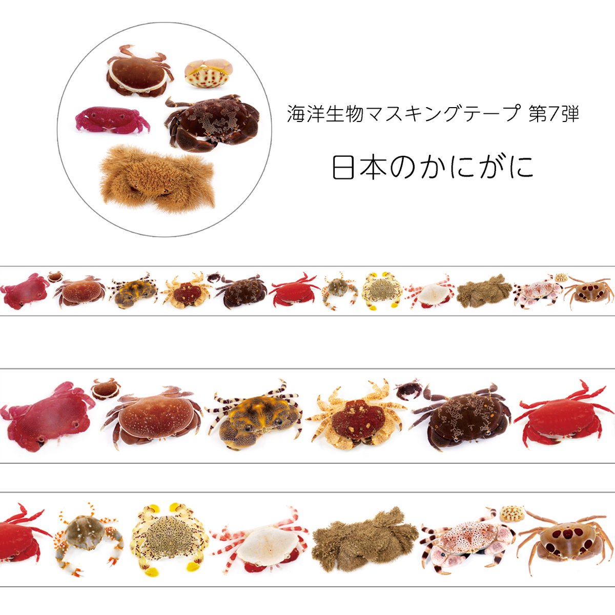 でんか tweet media