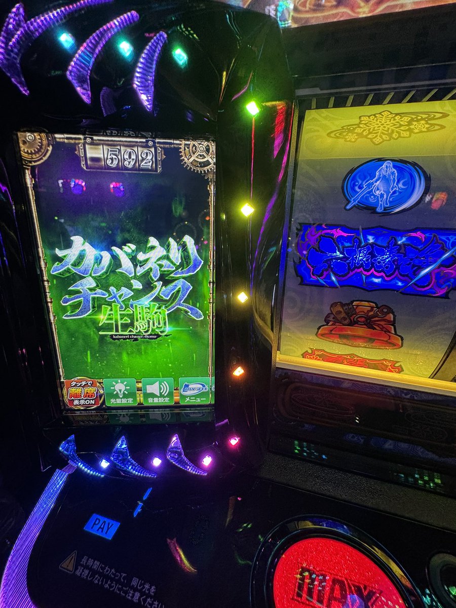 こたちゃん🐻🌟 tweet media