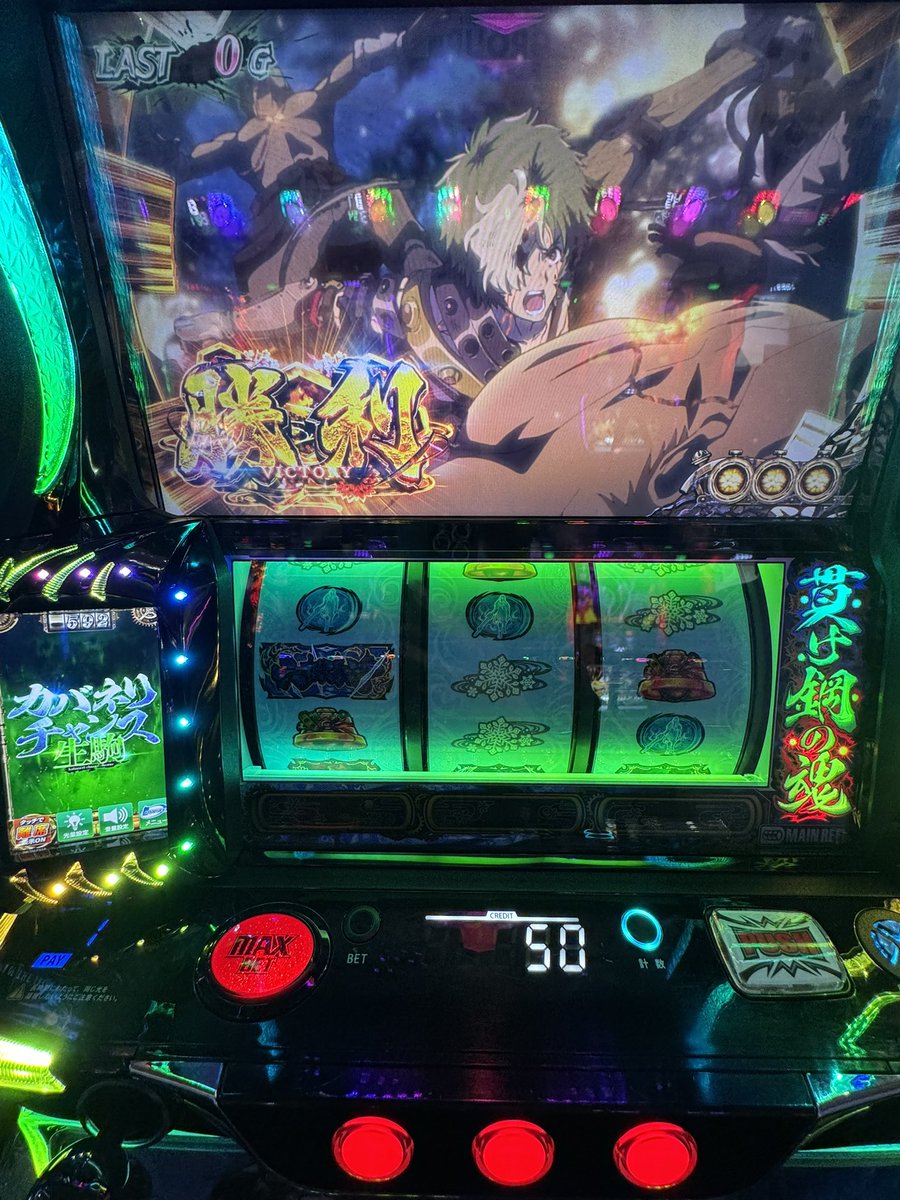 こたちゃん🐻🌟 tweet media