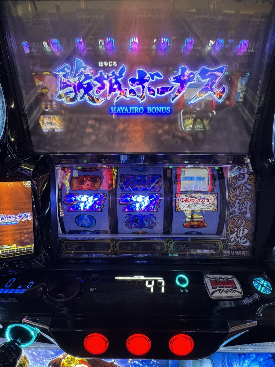 こたちゃん🐻🌟 tweet media