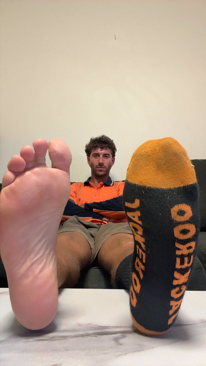 Alpha Troy tweet media