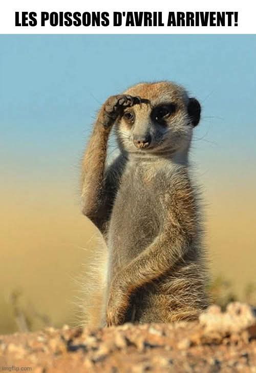 Bonne journée 🥰🫶❤️