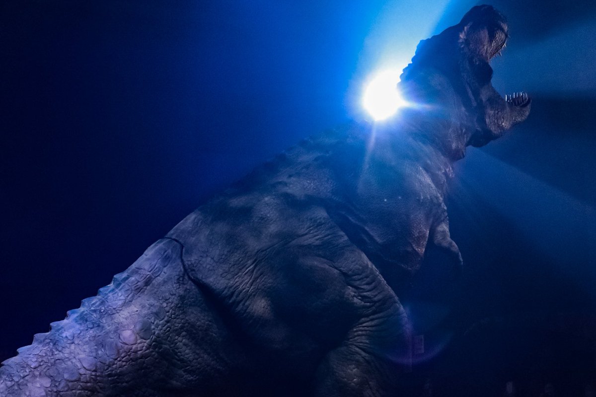 HANABI🎆 tweet media