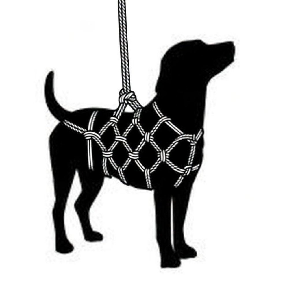 サモまろ🍥🍥と他1億人 tweet media