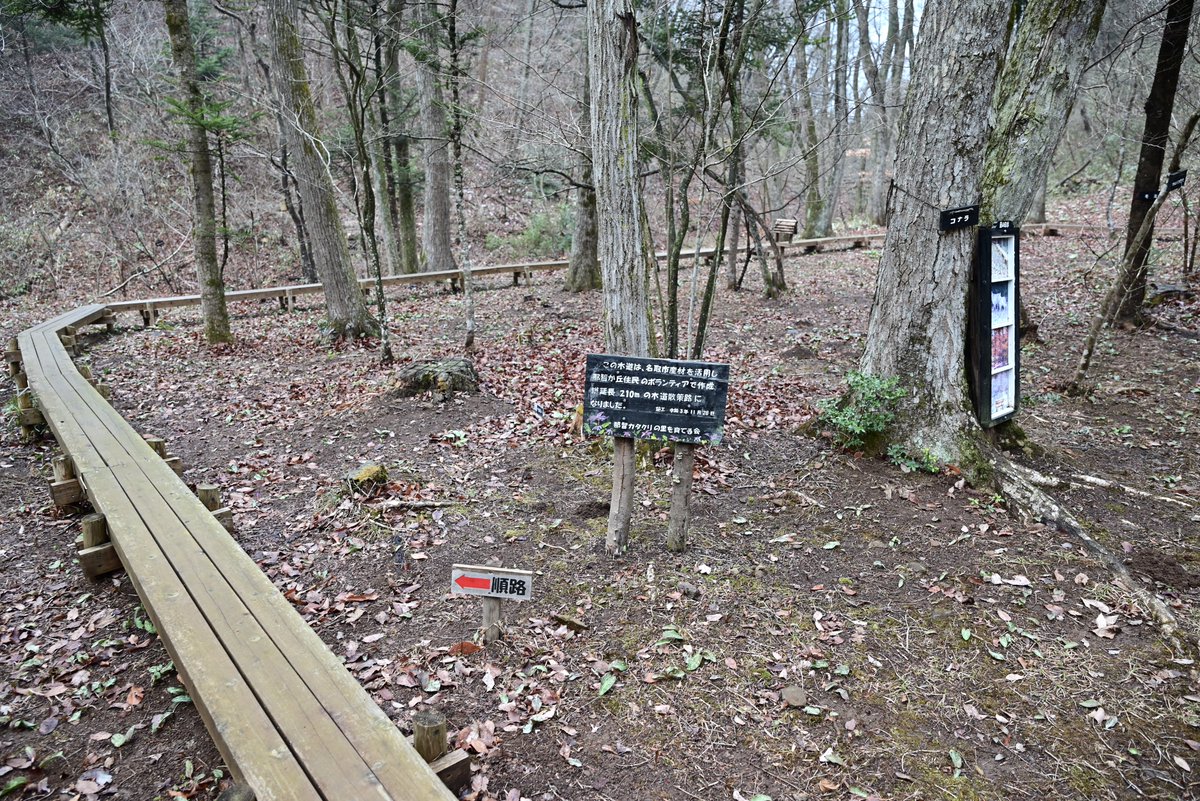 はむぴよ🐥⸒⸒ﾃｺﾃｺ tweet media