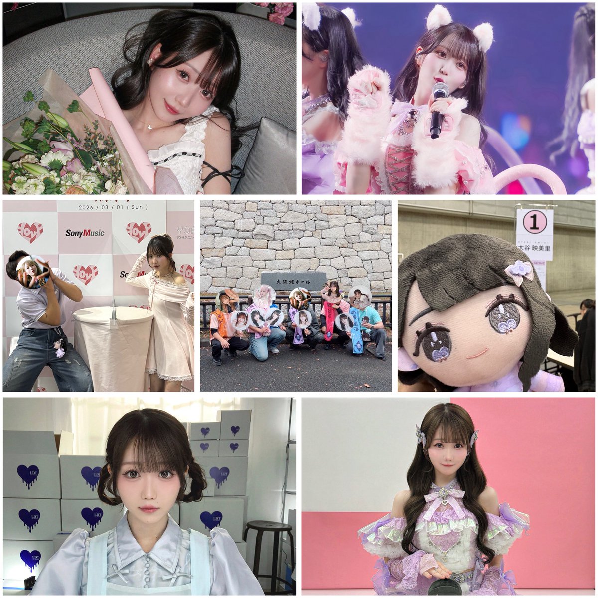 くま🐈 tweet media