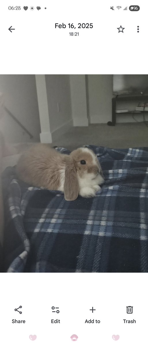 pinkie🎀 tweet media